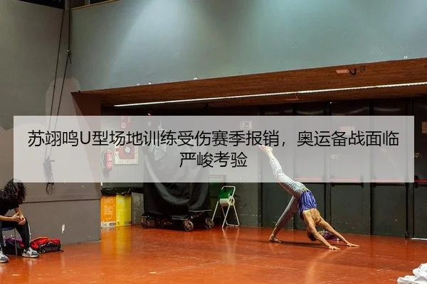 苏翊鸣U型场地训练受伤赛季报销，奥运备战面临严峻考验